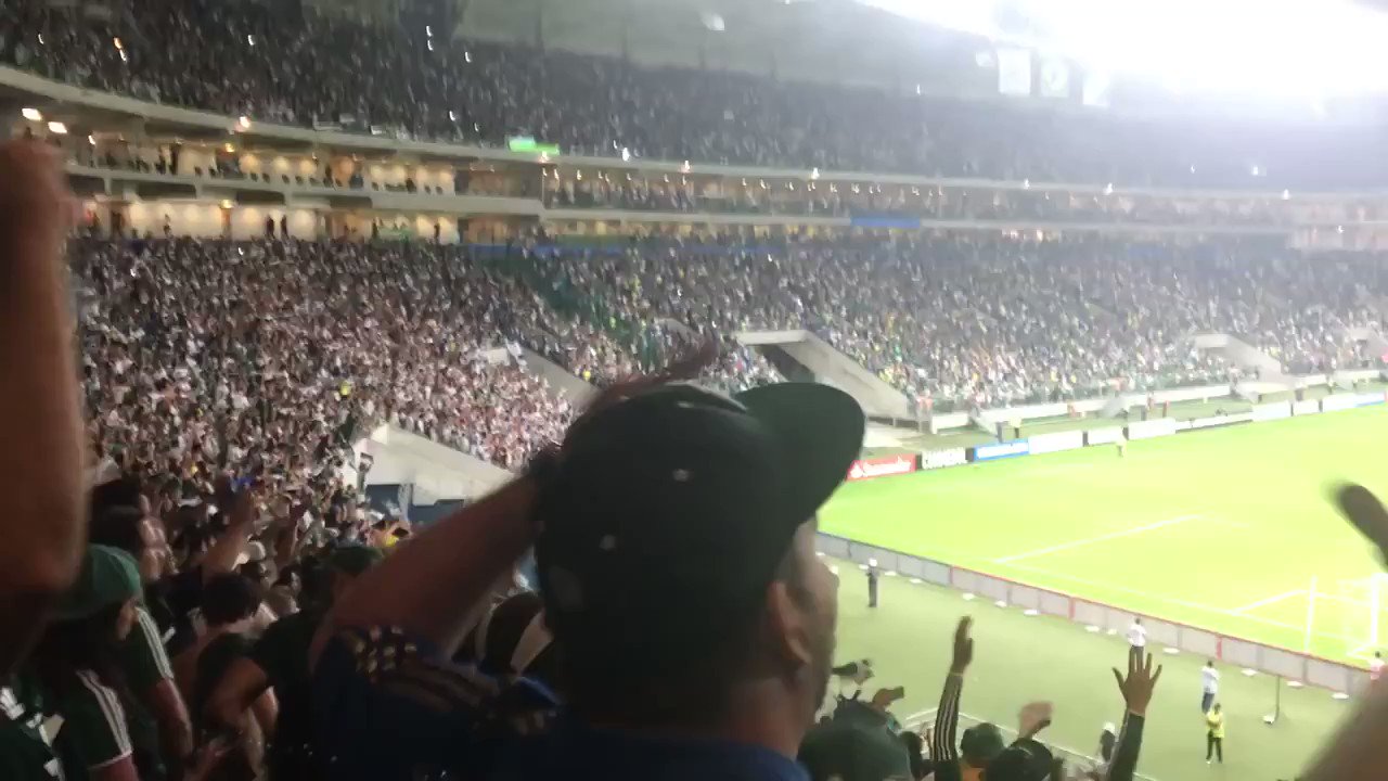 O Canto das Torcidas on X: Vamos jogar com raça, jogadores, para ganhar a  Taça Libertadores É semana de quartas de final! O Palmeiras entra em campo  hoje, em busca de se