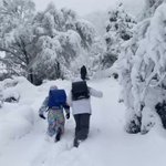 雪道で前に進めない!学校に行くまでにバテてしまう