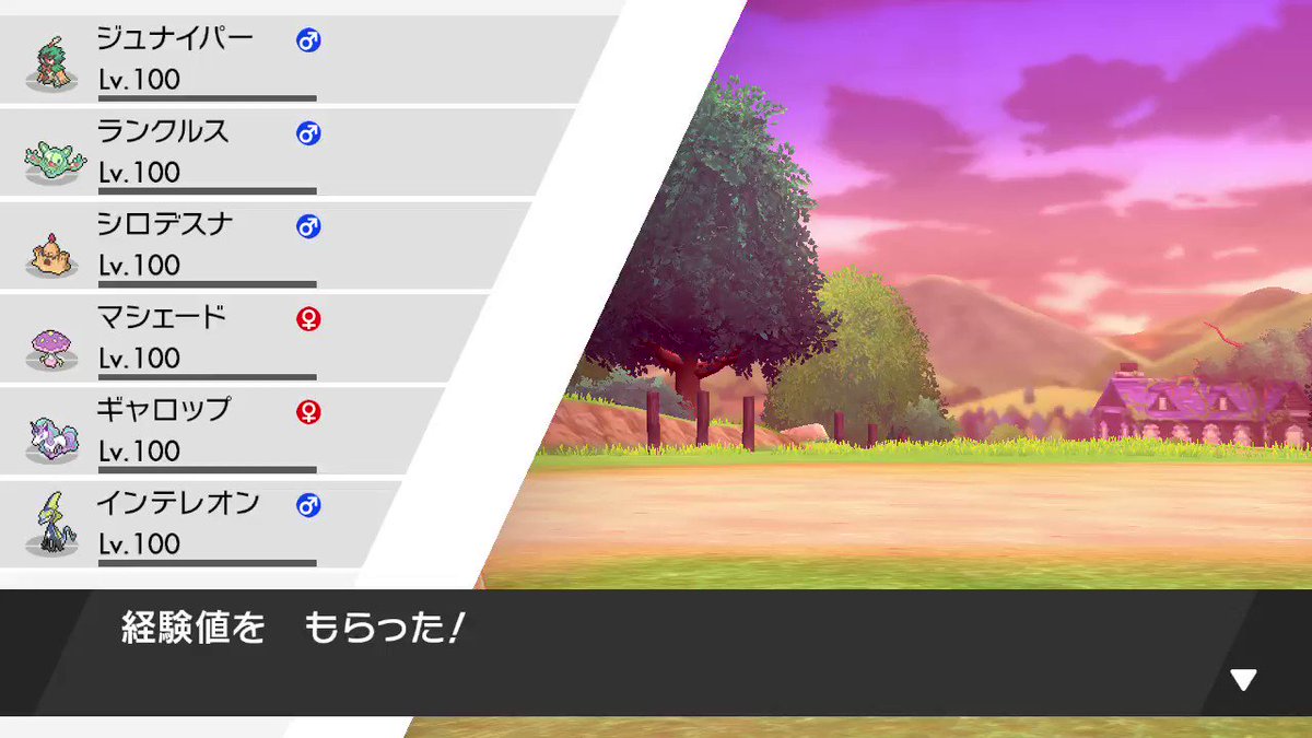 剣盾 つりたてぴちぴちのコイキング 釣り証 てん