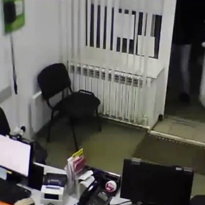 включи ограбление кота