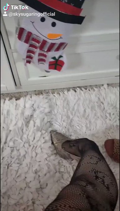 Merry Christmas https://t.co/JeRVAnggVw