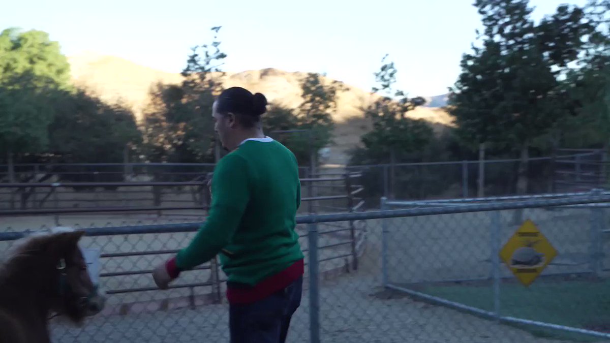 New Youtube Video Out Now! Our Pack Walk Holiday Edition! Wishing you all a Merry Christmas!!!
Link to the full video here:
https://t.co/KBbMvzOYFj https://t.co/dV278vJp4x