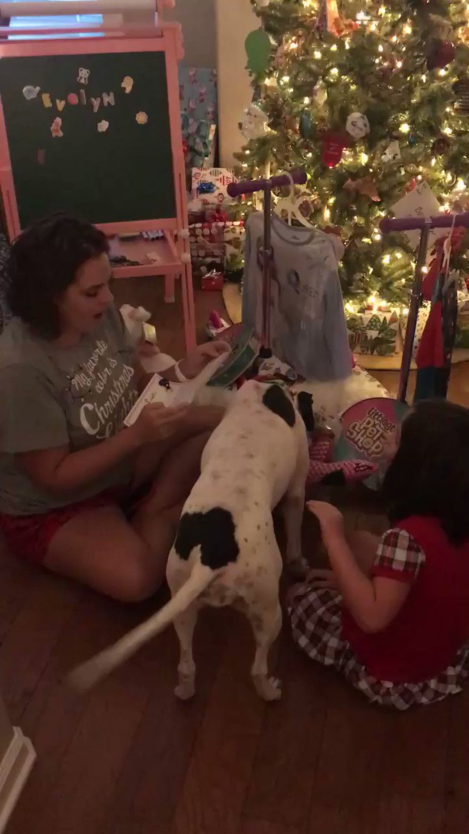 RT @jaxhumane: Santa brought one of our shelter dogs the best gift of all ... https://t.co/itBkeTOjwU