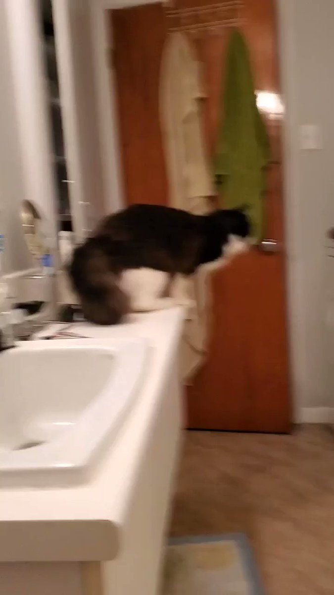 LordetteTrapy’s pics and videos