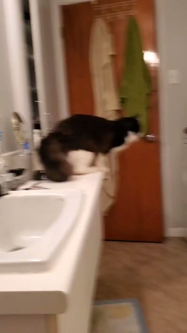 LordetteTrapy’s pics and videos