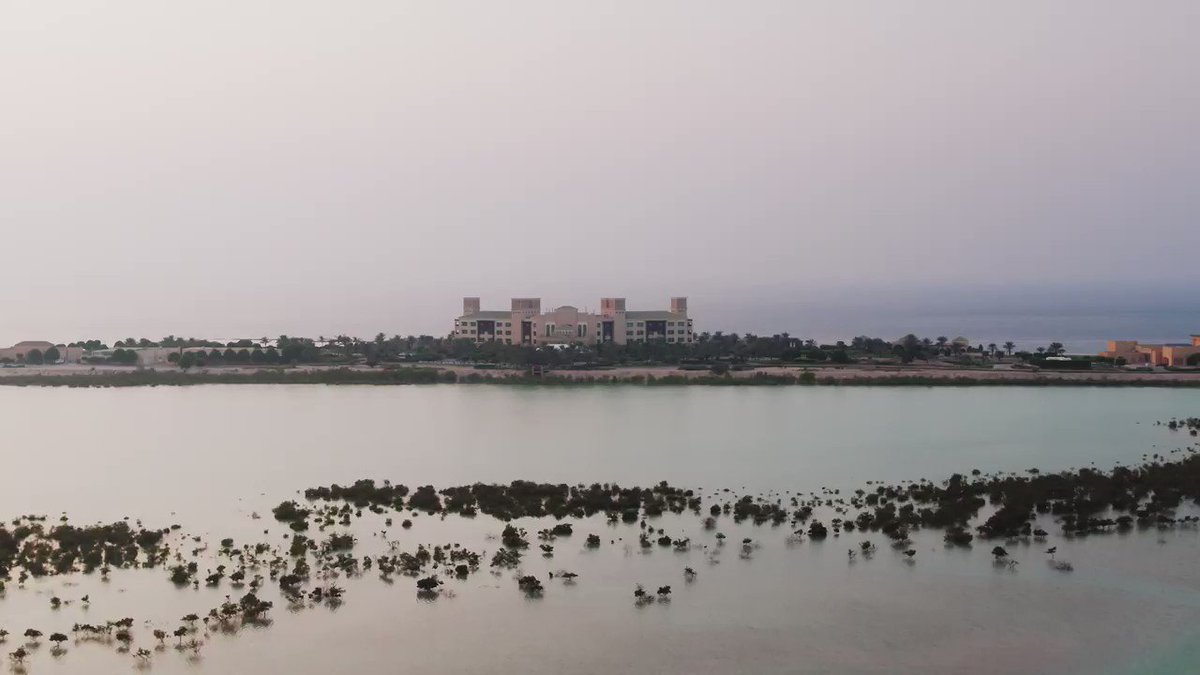 One island. Umpteen unforgettable experiences. Sir Bani Yas Island is a fascinating nature haven filled with wildlife & adventurous experiences that you can enjoy from a rustic luxurious #AnantaraSirBaniYas resort https://t.co/jVOu5u0l2M
#StaySafe #InAbuDhabi https://t.co/OF9apyBxjo