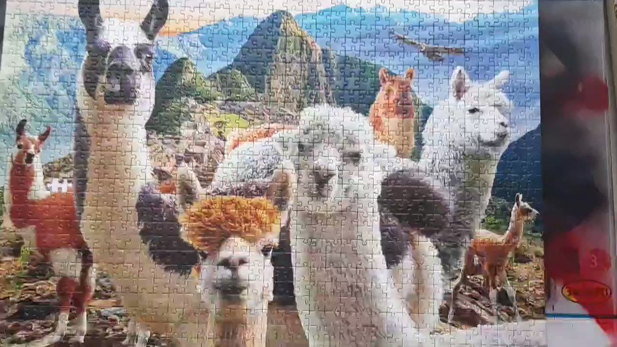 Finished! 1000 pieces. Haven't done  a jigsaw in years. Memories of my #journeyinPeru #Peru Happy New Year to all. I hope soon we can be free to travel again. #HappyNewYear2021 https://t.co/zQNezp579m