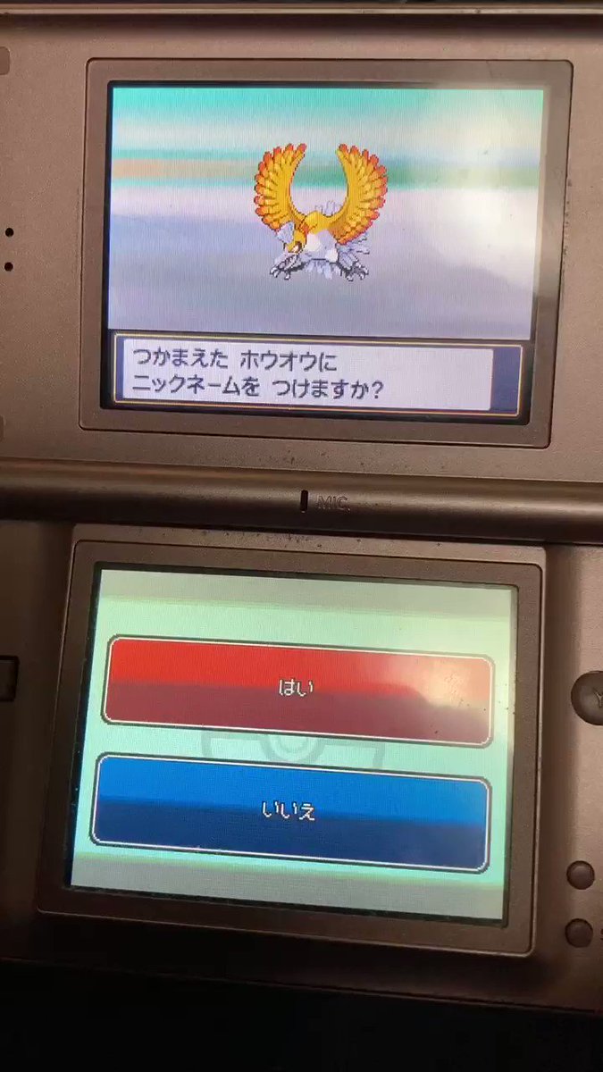 Hgssにおいてパッケージポケモンを1周回で2匹捕獲する方法 かりゅうどの気まぐれ日記 Hgssにおいてパッケージポケモンを1周回で2匹捕獲する方法 かりゅうどの気まぐれ日記