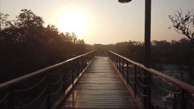 Imagine long walks & a feeling of oneness with nature?The place to experience this is at the #JubailMangrovePark #InAbuDhabi. The park features a stunning boardwalk taking visitors through stunning landscapes of mangroves #StaySafe
📸 3noda__/Instagram
🎵mussical/Instagram https://t.co/6p3PReezov