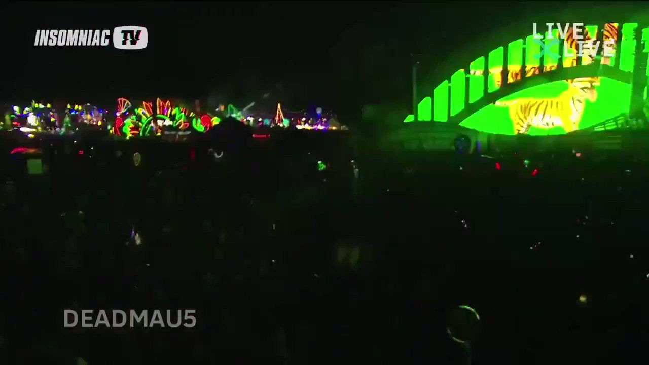 Happy birthday to the legendary  Throwback to his insane performance during EDC Las Vegas 2019 