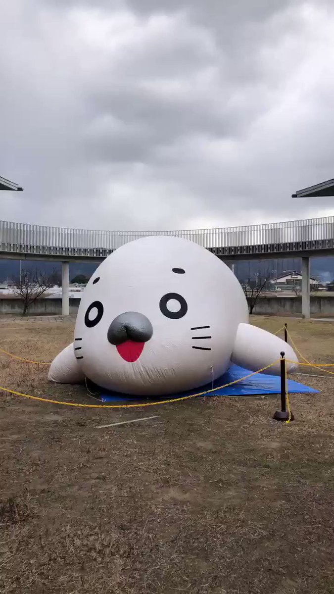 少年アシベ Go Go ゴマちゃん