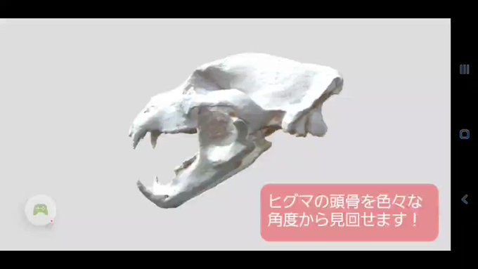 ヒグマ の評価や評判 感想など みんなの反応を1週間ごとにまとめて紹介 ついラン ヒグマ の評価や評判 感想など みんなの反応を1週間ごとにまとめて紹介 ついラン