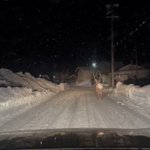 これで夜の雪道も安心？親切な4WDが雪道を先導してくれた!
