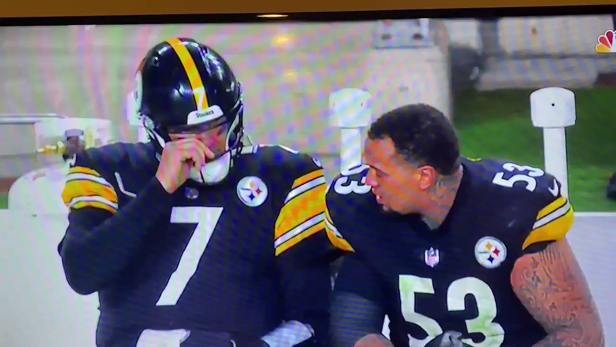 @DavidMTodd's photo on Pouncey