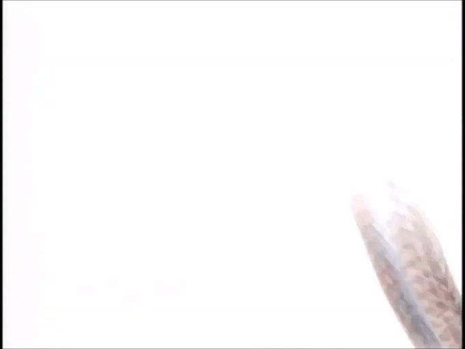 Popular Tweets Of 猫nタロウ 私がガンダムだ 10 Whotwi Graphical Twitter Analysis