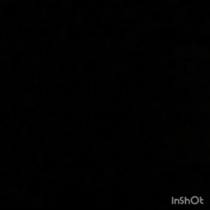HOJE TEM INDIANA PACERS!
HOJE TEM MYLES TURNER!
Surfando na onda do momento, editei um vídeo já produzido (YT: rollthetape) de @Original_Turner, juntando alguns tapes e o instrumental colossal de @RacaNegra https://t.co/eHjKkqAlY9