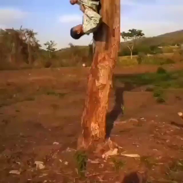 @luculucuaaan's video Tweet
