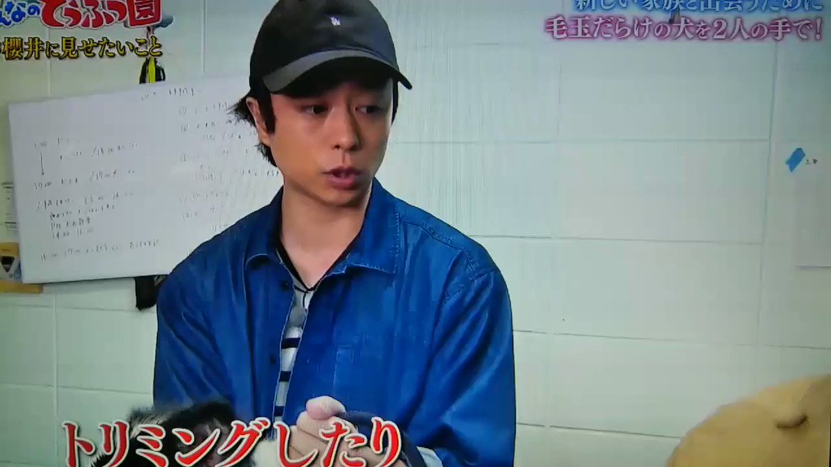 週末の相葉雅紀 Hotワード 週末の相葉雅紀 Hotワード