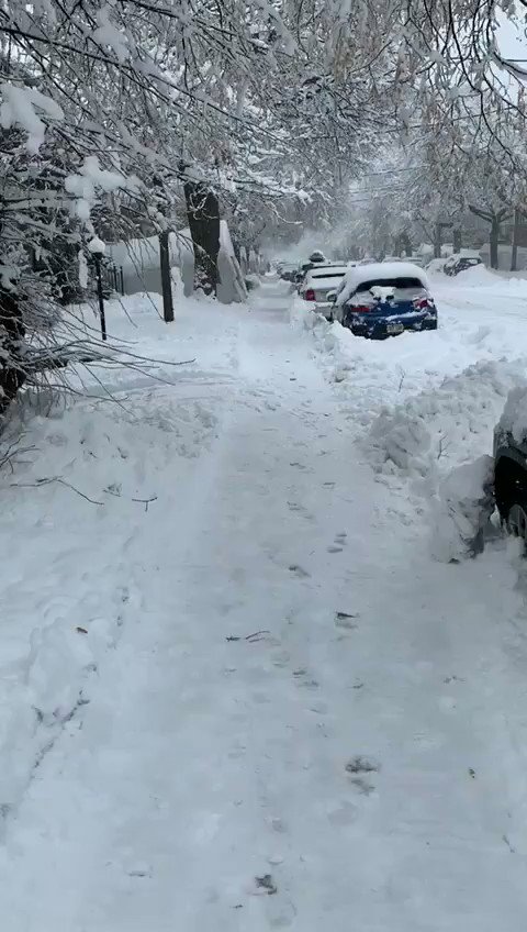 @HernaRivera me reporta la primer tormenta de nieve en #Montreal @Canada.
Así lucen las calles...
(Première tempête de neige sur le #Québec).
(The First Snowstor sobre #Québec)
@lopezobrador_
@JustinTrudeau
@QuebecMX
@julioastillero https://t.co/wJGIucHeeB
