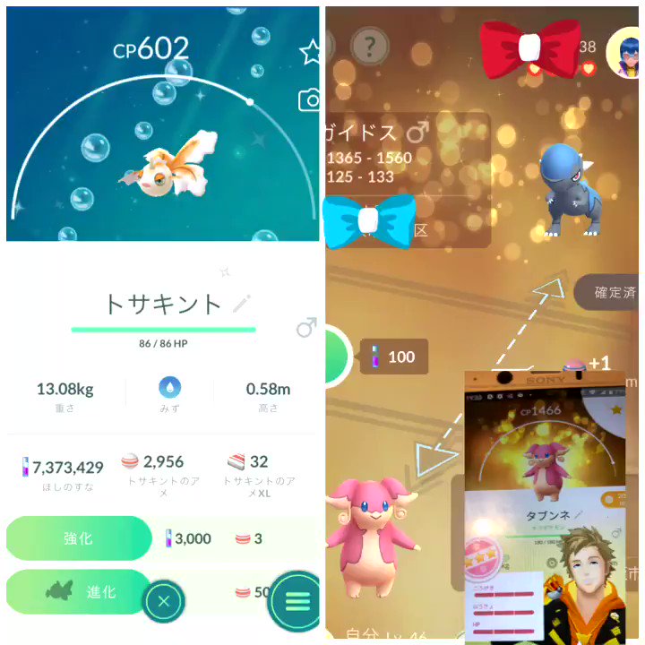 ポケモンgo ズガイドスの色違い 入手方法と実装状況 攻略大百科 ポケモンgo ズガイドスの色違い 入手方法と実装状況 攻略大百科