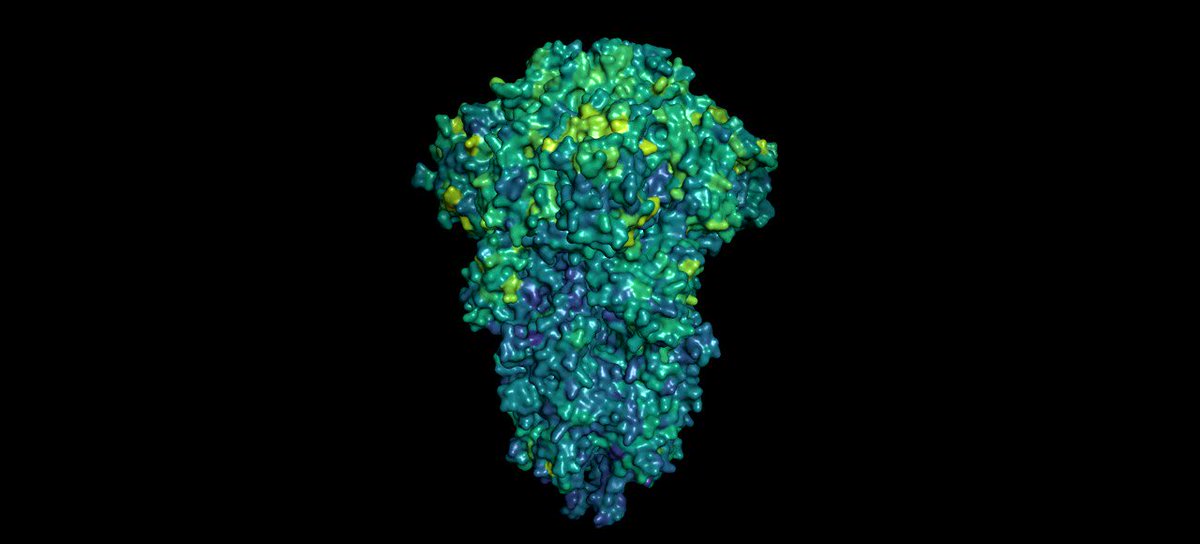 MIT CSAIL (@MIT_CSAIL) on Twitter photo 2021-01-19 19:44:00 .@MIT model predicts which parts of the COVID virus are less likely to mutate. Paper: bit.ly/ViralEscapePDF More: bit.ly/ViralEscape #COVID #Vaccine #CovidVaccine #COVID19 .@MIT model predicts which parts of the COVID virus are less likely to mutate. Paper: bit.ly/ViralEscapePDF More: bit.ly/ViralEscape #COVID #Vaccine #CovidVaccine #COVID19