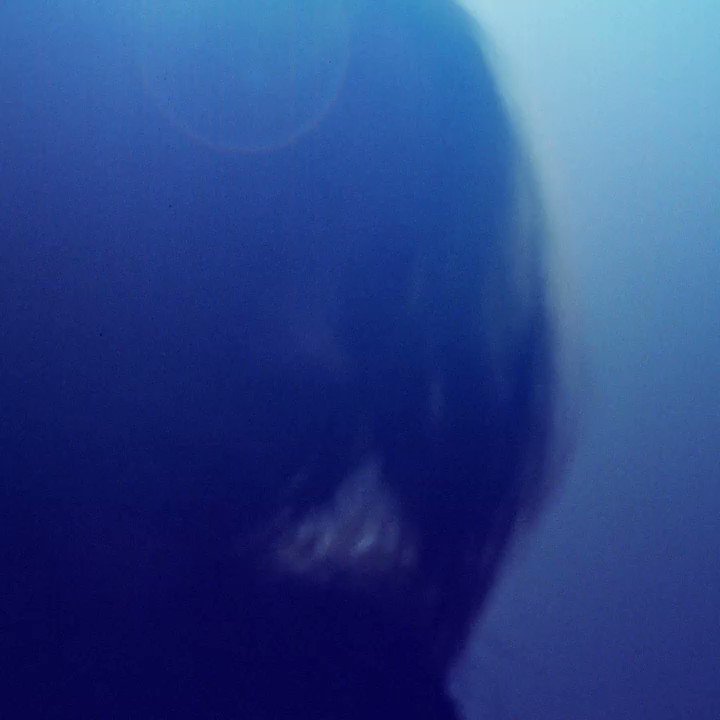 billie eilish (@billieeilish) on Twitter photo 2021-01-19 19:16:36 Billie and @Rosalia - “Lo Vas A Olvidar” For @EuphoriaHBO Song and music video out on 1/21/21 at 9am PT Billie and @Rosalia - “Lo Vas A Olvidar” For @EuphoriaHBO Song and music video out on 1/21/21 at 9am PT