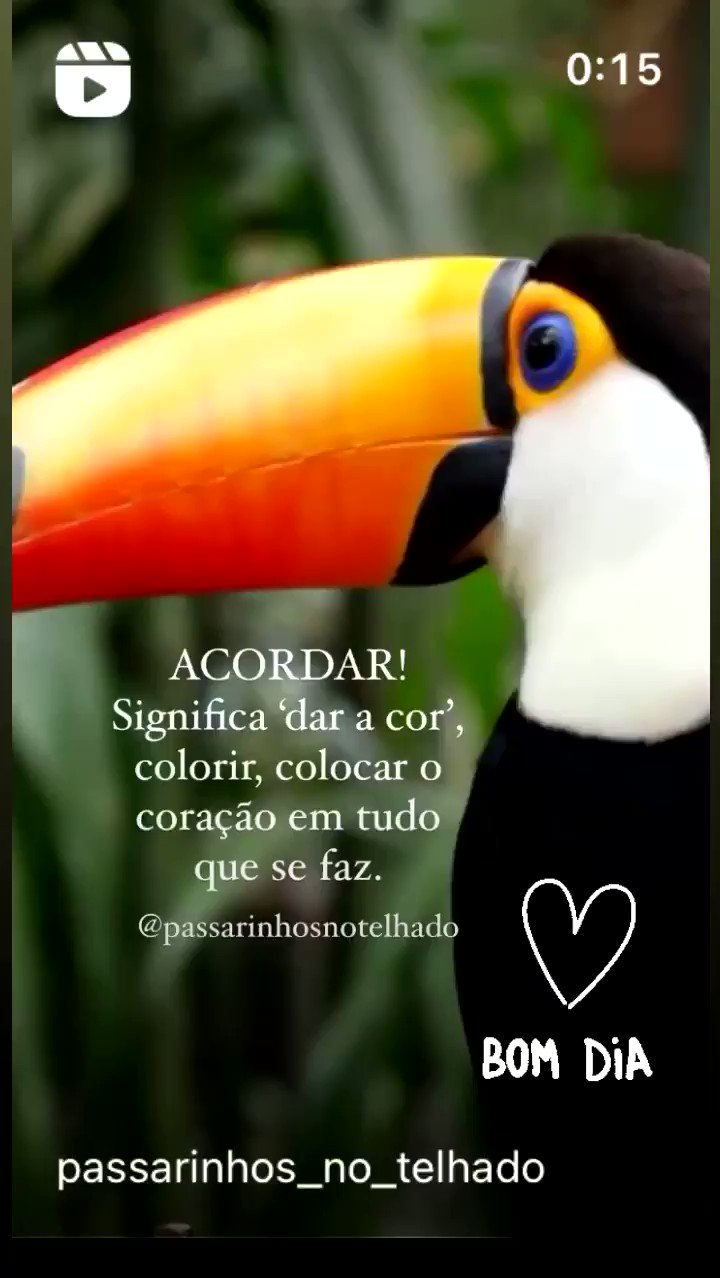 Alessandra Ataide Ardison on Twitter: Alessandra Ataide Ardison on Twitter: