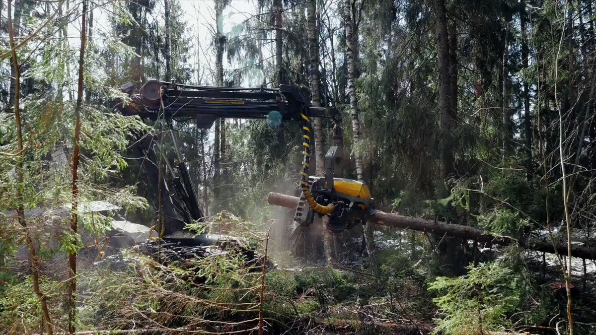 The Swedish forest industry is unsustainable. It is exploiting indigenous land and disrespecting their rights. The bitter truth about the so-called "green" forestry in Sweden is explained in this new documentary, watch it! 🌍👀
#StandWithSápmi
https://t.co/Lc4dddxpbG https://t.co/xFlVH1vgCC