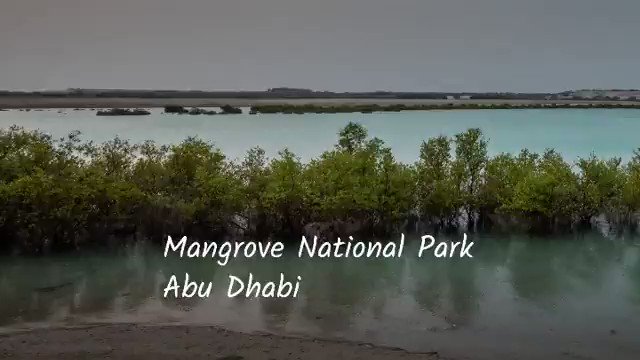 You're sure to enjoy the #WorldsCoolestWinter at the #JubailMangrovePark! A haven for avian & marine species, a sanctuary raising awareness of mangrove habitats & a spectacular meandering mangrove boardwalk with mesmerising views!
#StaySafe #InAbuDhabi
@TheEmirates https://t.co/1oG0DNrom7