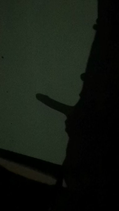 Shadow cock
#horny #hornycock #erection #twink #bisexual #bicurious #gay #follow #retweet #masturbate