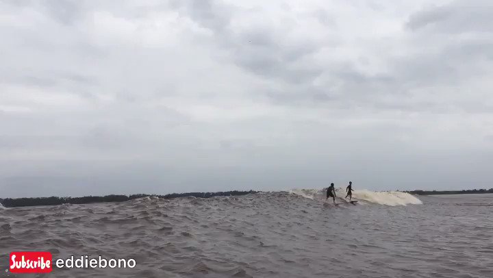 Bono river surfing 😎
full video 👇
https://t.co/Tqc2nE8mmR
#bono #bonos #bonovox #bonovox #bonosurfing #river #riverlife #riverdale #riverlifestyle #surf #surfista #surfislife #surfer #surfergirl #surfingphotography #surfingvideo #surfingmagazine #surfingbali #surfingindonesia https://t.co/hqJQsRYuwI
