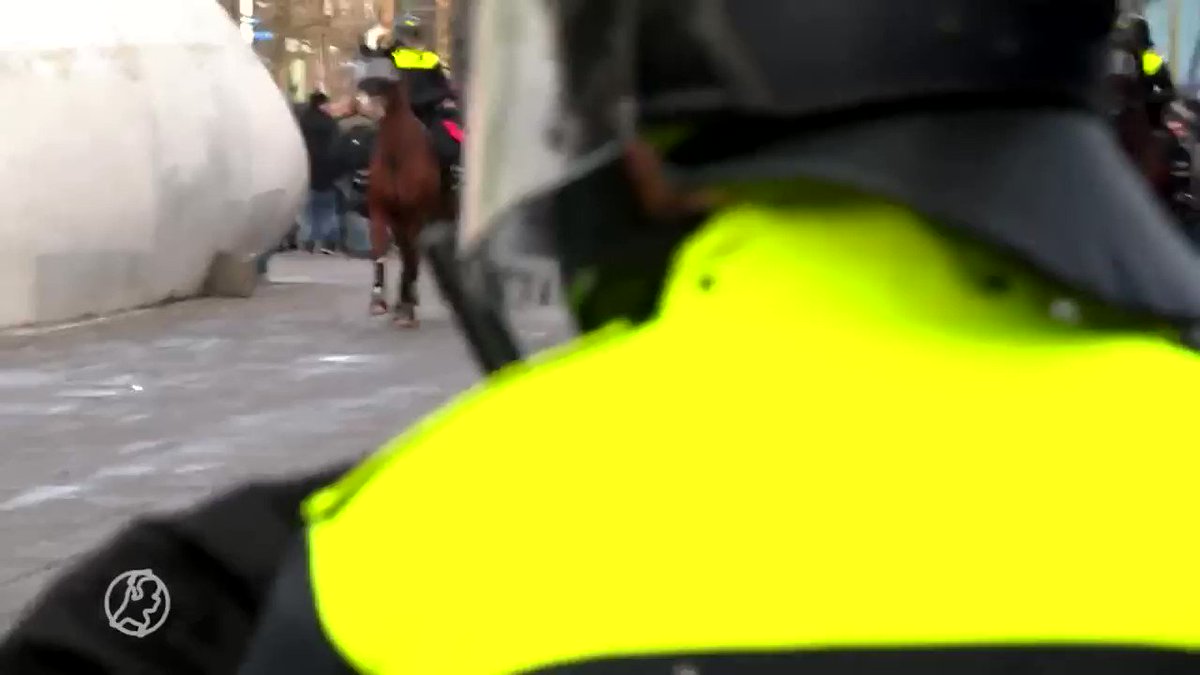 Politiepaarden gaan onderuit bij confrontatie met demonstranten in #Eindhoven @HartvNL https://t.co/AvI8A7FK3r