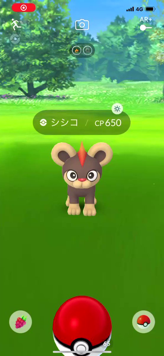 ポケモンgo シシコの入手方法 能力 技まとめ 攻略大百科 ポケモンgo シシコの入手方法 能力 技まとめ 攻略大百科