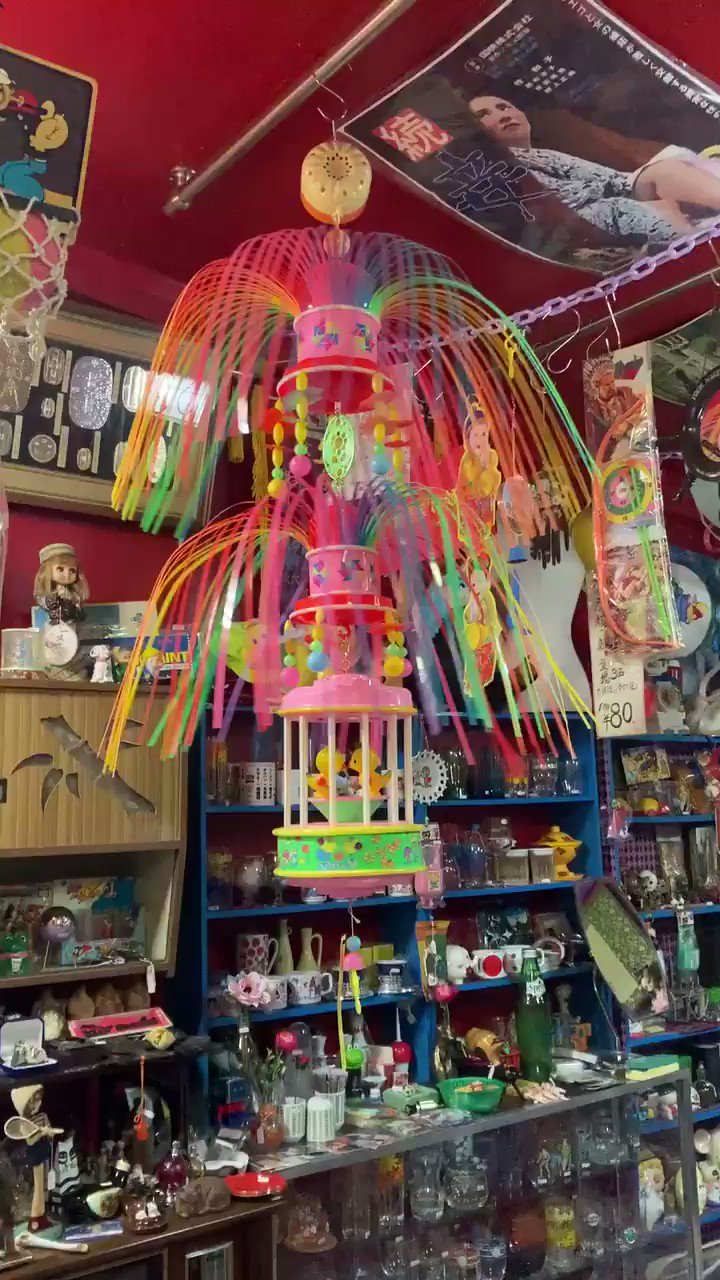@hakuchuum_osaka's video Tweet @hakuchuum_osaka's video Tweet