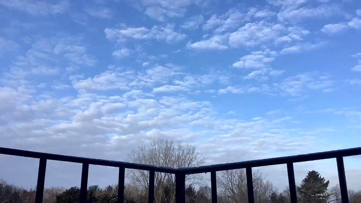 RT @QuinnTimelapses: #Clouds #Monday #Weather #Timelapse in White Bear Lake, MN #MNwx #Minnesota #Wxtwitter 1/25/21 https://t.co/yvKuDbIJex