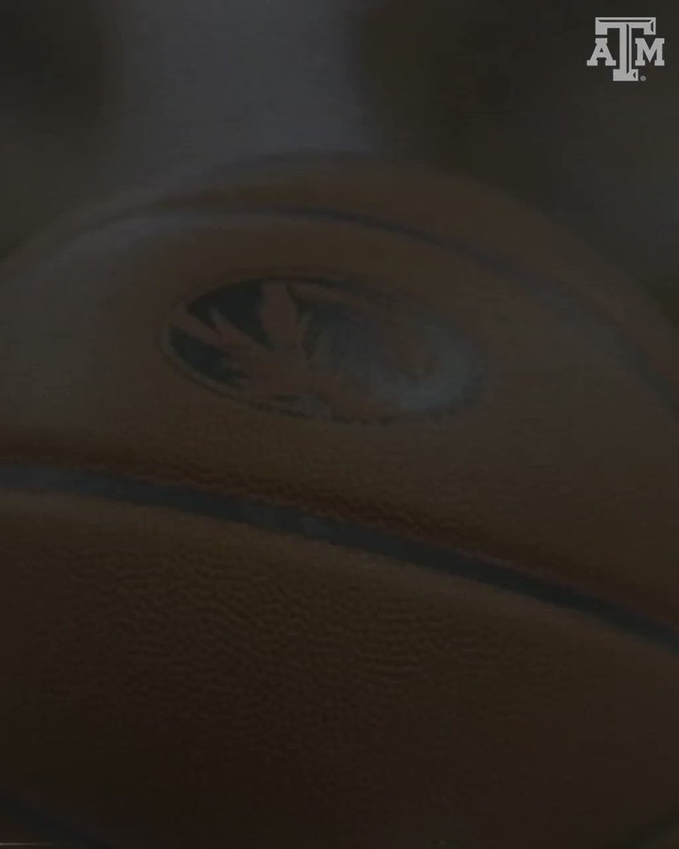 Texas A&M Womens Basketball (@AggieWBB) on Twitter photo 2021-01-27 01:38:36 The road is tough, but so are we 💪 #GigEm The road is tough, but so are we 💪 #GigEm