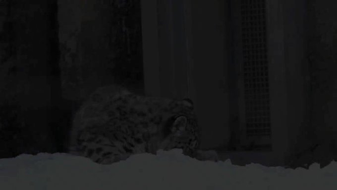 귤자 さん がハッシュタグ 多摩動物公園 をつけたツイート一覧 1 Whotwi グラフィカルtwitter分析 귤자 さん がハッシュタグ 多摩動物公園 をつけたツイート一覧 1 Whotwi グラフィカルtwitter分析