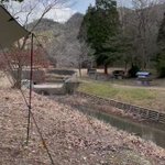 キャンプ場の木をぶった切って使用する人、常識はずれも程がある・・・。