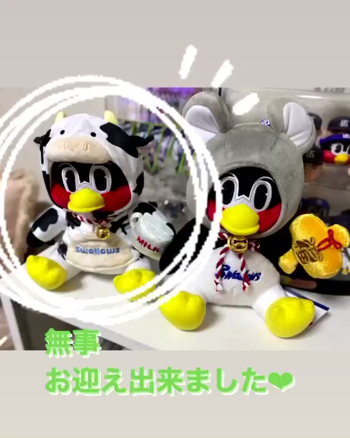 お座りつば九郎辰年バージョンと2000ゲーム出場記念バージョンの2羽セットです。 お座り干支つば九郎（2024辰年Ver.）受注販売のお知らせ | 東京