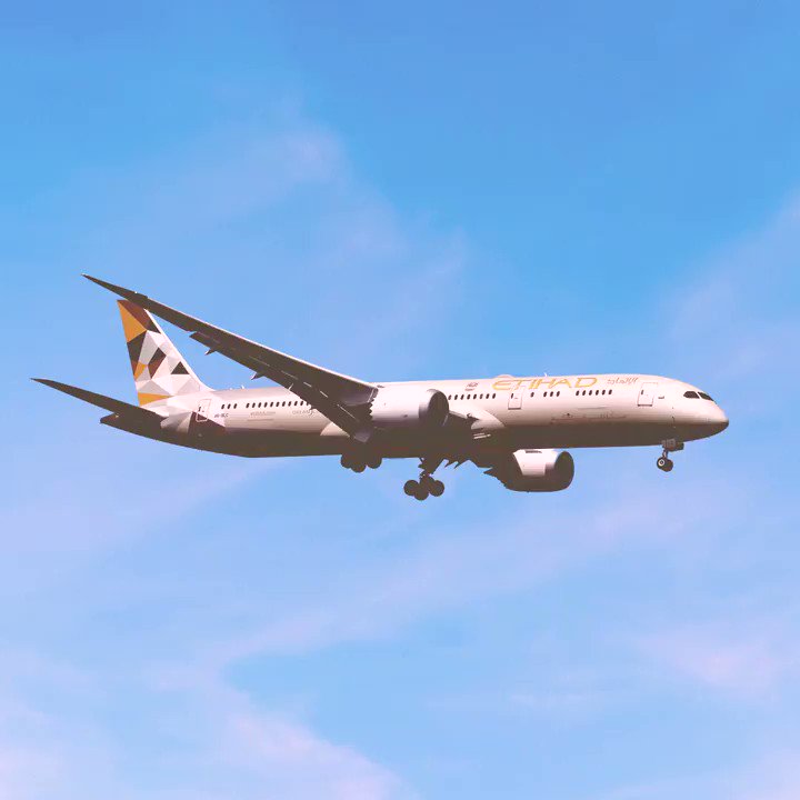 Boeing 787 etihad. Боинг 787-900 Etihad. Boeing 787-900 Etihad Airways. Боинг 737-781 Etihad. Etihad Airways самолеты.