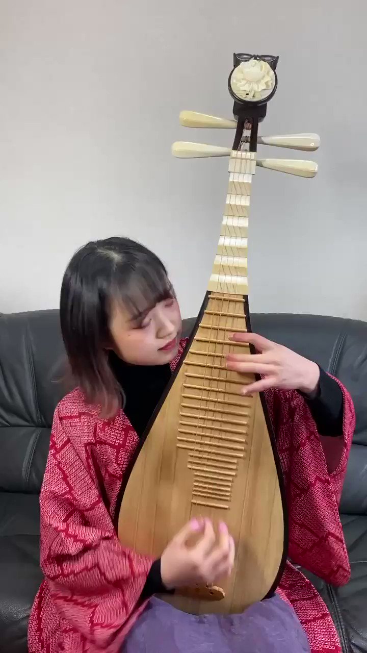 中国琵琶 中国琵琶】千本桜/Senbonzakura - YouTube