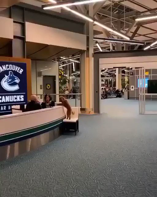 Tweets with replies by Sandra (sandra_moreli) / Twitter