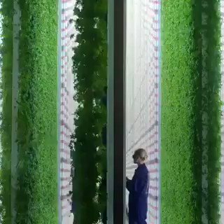 Using #AI & other #agritech to increase yield & save a massive amount of land & water #futureofwork via @YourTechDiet https://t.co/blc6YekfuF