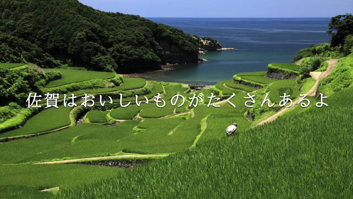 今度はグルメ、23時の佐賀飯アニメを来週からタイムラインへ投稿開始！