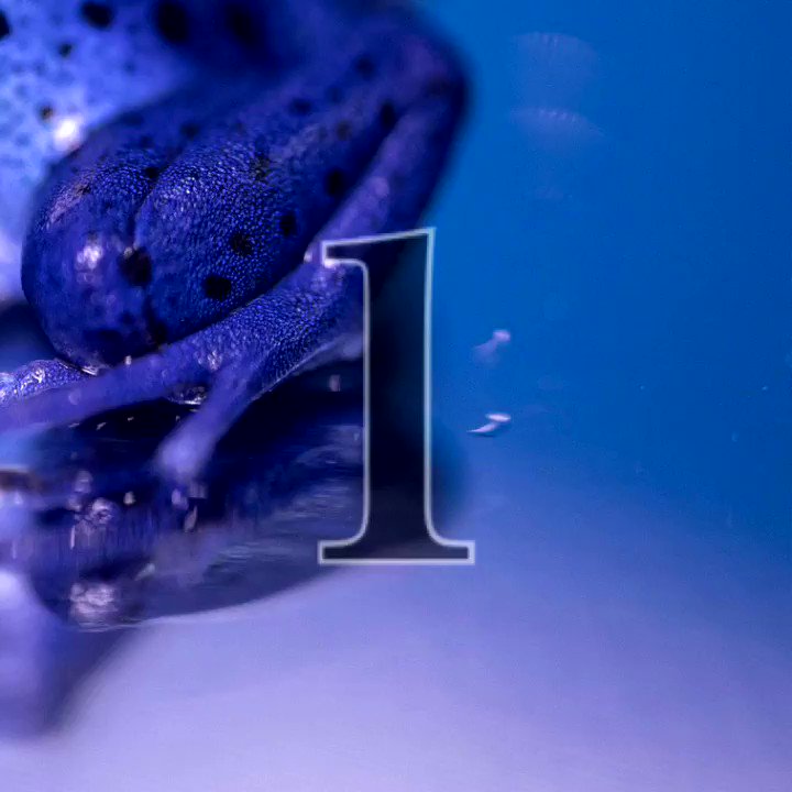 Dbbknhlv 8sshm