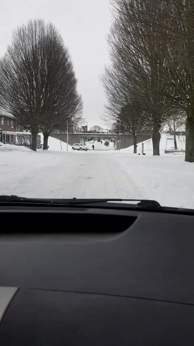 Melding reanimatie Lobith