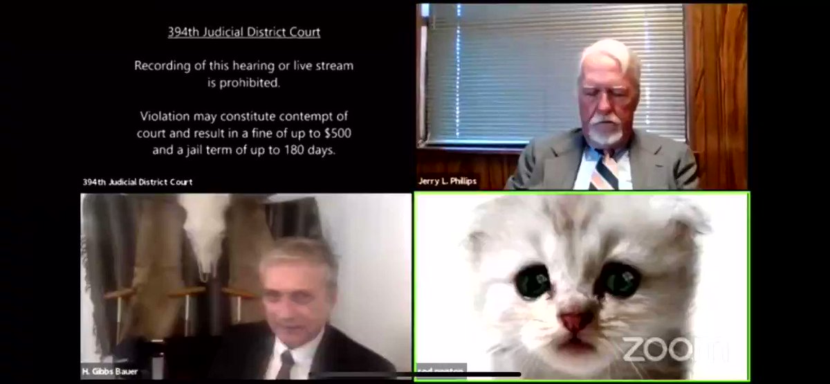 I henceforth and in perpetuity declare February 9th International Come To Work As I'm Not A Cat Day.
#catlawyer https://t.co/jBgwH0gYgD
