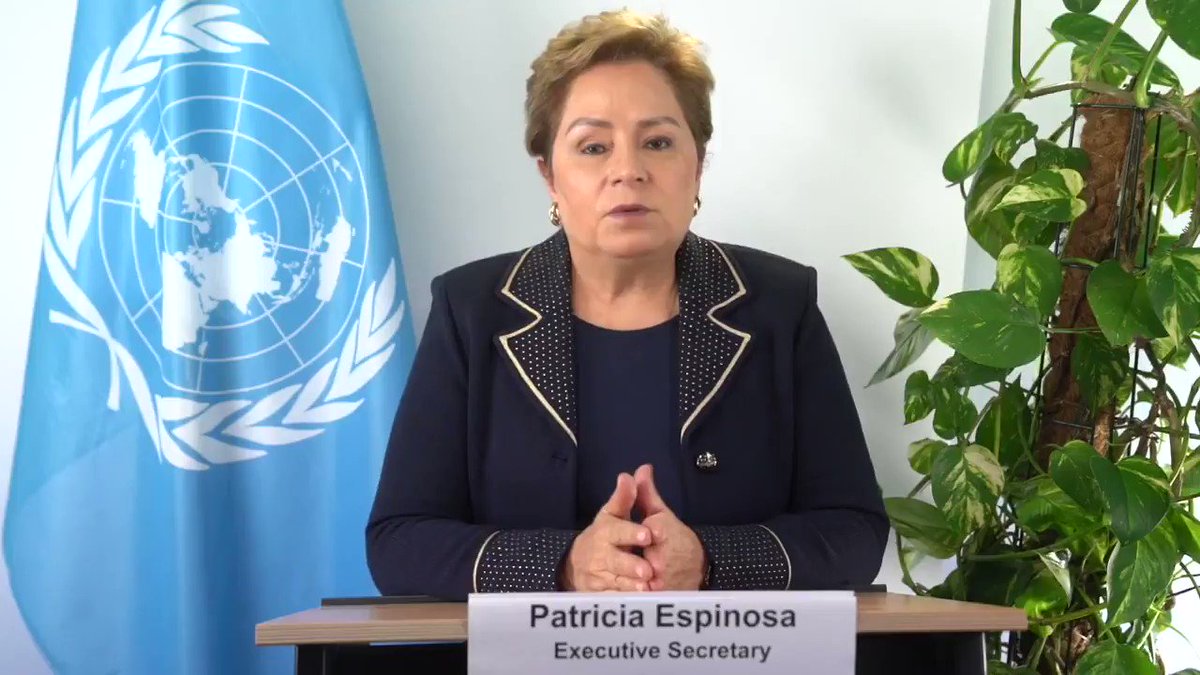 @PEspinosaC's video Tweet