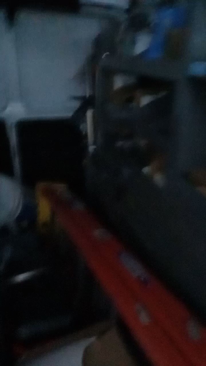 Buck (Al_Bundys_Dog) / Twitter