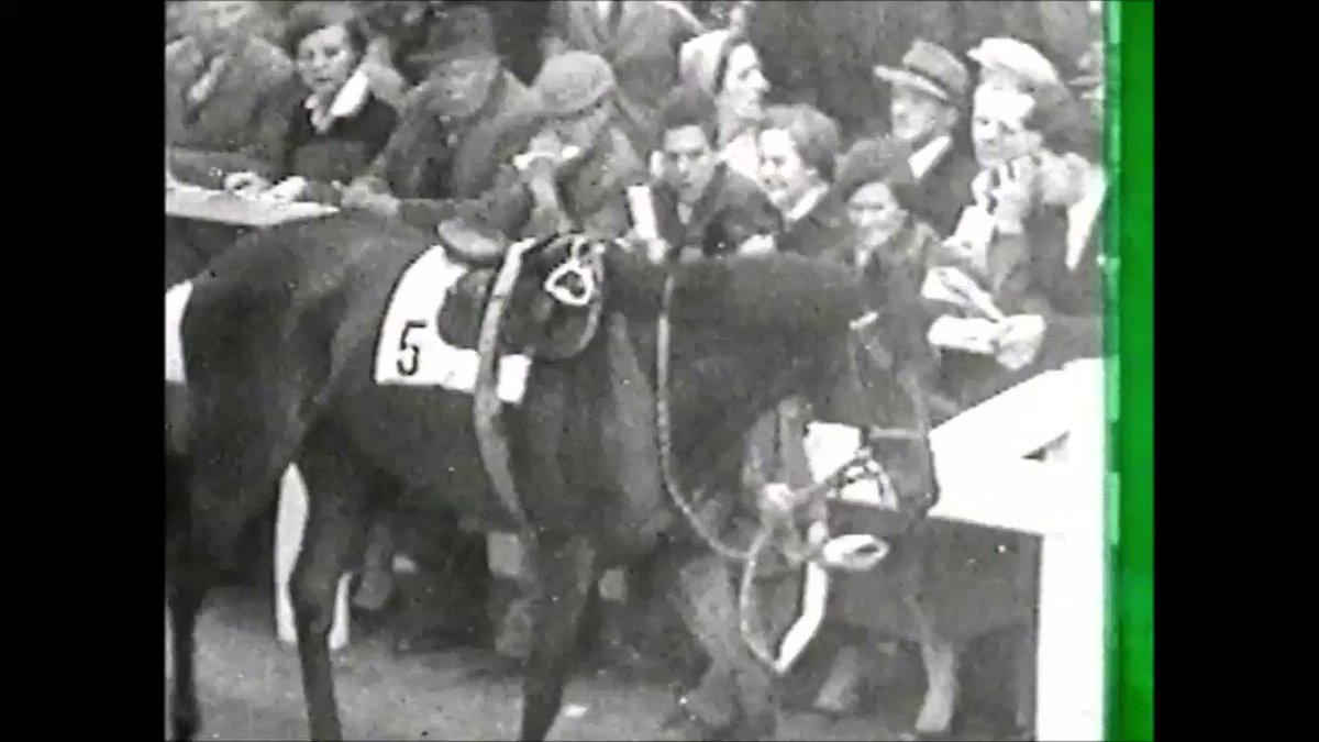RT @horsevault: 1956 King George VI & Queen Elizabeth Diamond Stakes - Ribot 
 https://t.co/R1om2W44zC